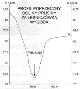 prusina02